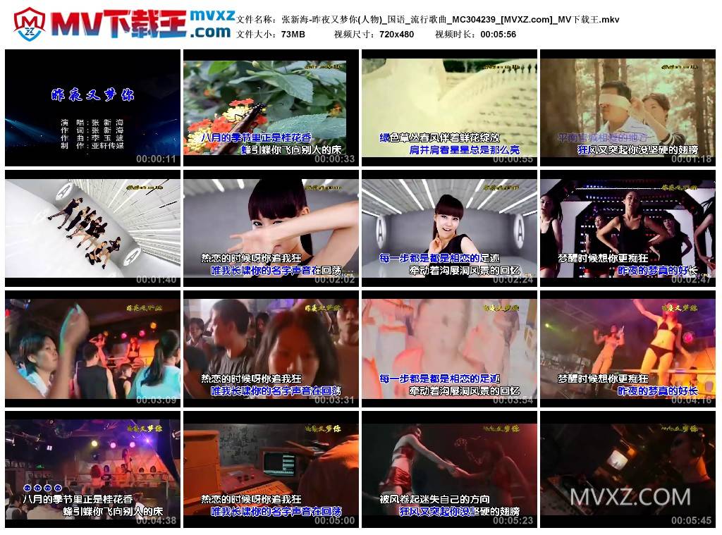 张新海-昨夜又梦你(人物)_国语_流行歌曲_MC304239